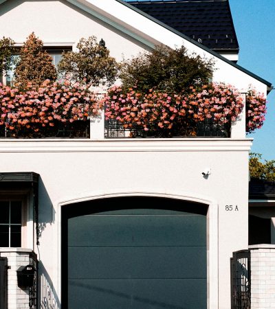 pexels-lucut-razvan-96871-14499728